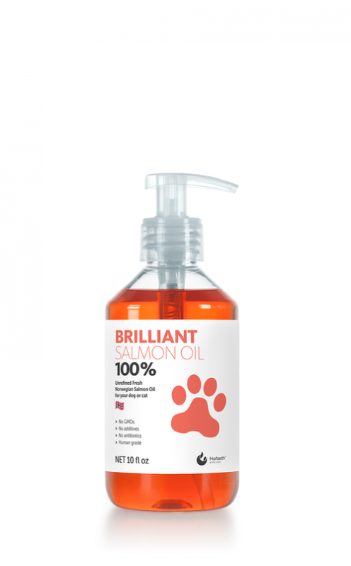 Healthy K9
