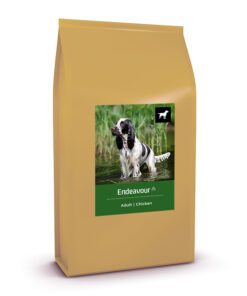 Healthy K9 | Endeavour