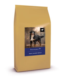 Healthy K9 | Provenance
