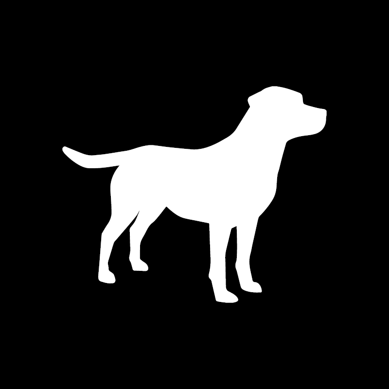 Healthy K9