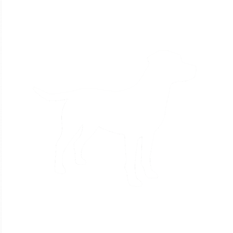 Healthy K9